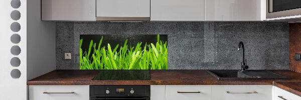 Spatscherm keuken Gras
