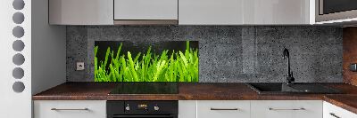 Spatscherm keuken Gras