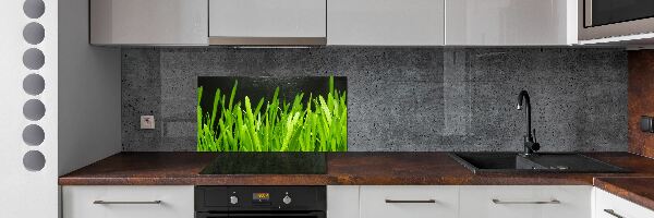 Spatscherm keuken Gras