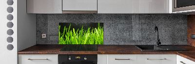 Spatscherm keuken Gras