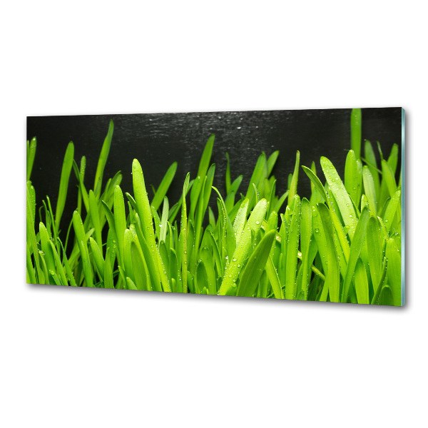 Spatscherm keuken Gras