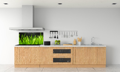 Spatscherm keuken Gras