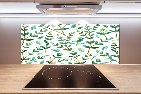 Glazen achterwand keuken Eucalyptus