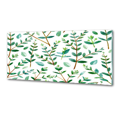 Glazen achterwand keuken Eucalyptus