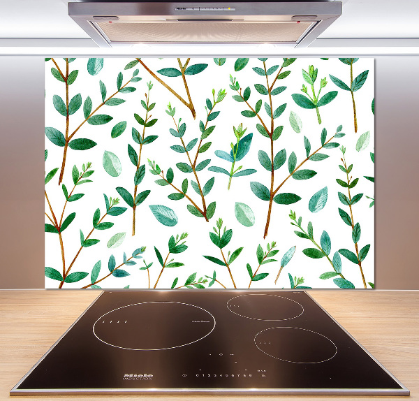 Glazen achterwand keuken Eucalyptus