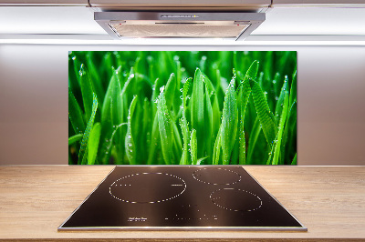 Keuken achterwand Gras