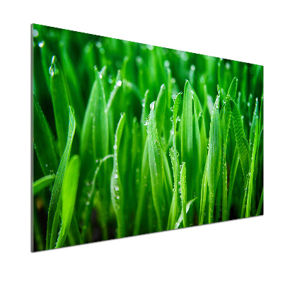 Keuken achterwand Gras