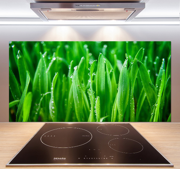 Keuken achterwand Gras