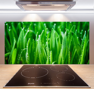 Keuken achterwand Gras