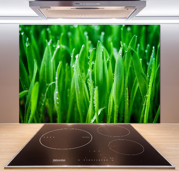 Keuken achterwand Gras