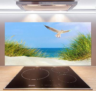 Keuken achterwand Meeuw op het strand