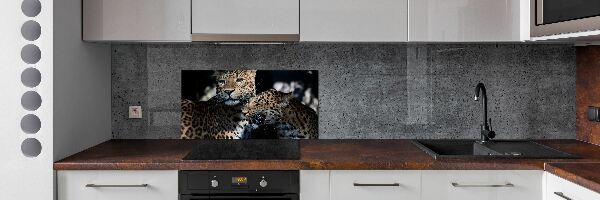 Achterwand keuken Twee luipaarden
