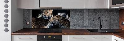 Panel dekor szkło Dwa lamparty