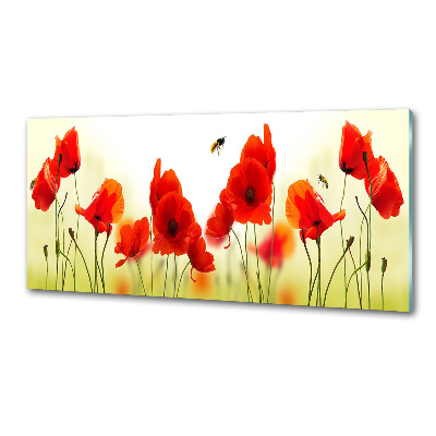 Achterwand keuken Klaprozen