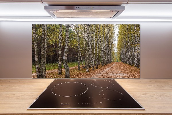 Panel dekor szkło Aleja brzóz