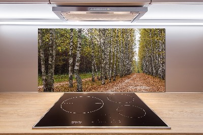 Achterwand keuken Berkenlaan