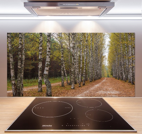 Panel dekor szkło Aleja brzóz