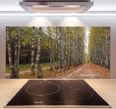 Panel dekor szkło Aleja brzóz