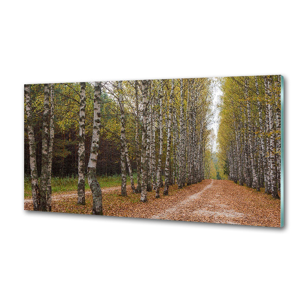Panel dekor szkło Aleja brzóz