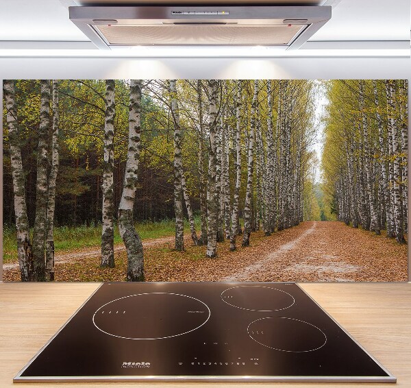 Panel dekor szkło Aleja brzóz