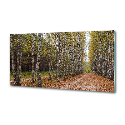 Panel dekor szkło Aleja brzóz