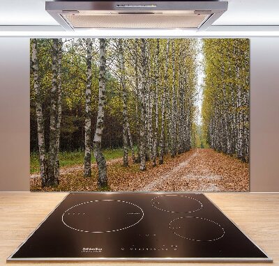 Achterwand keuken Berkenlaan