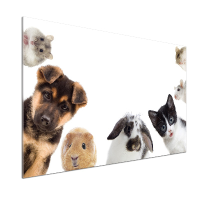 Panel do kuchni Zwierzęta domowe