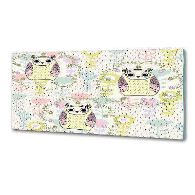 Glazen achterwand keuken Uilen