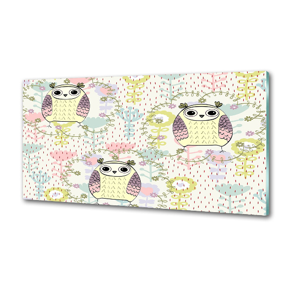 Glazen achterwand keuken Uilen