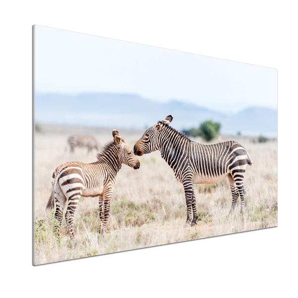 Spatplaat keuken Zebra's in de bergen