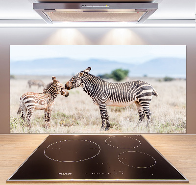 Spatplaat keuken Zebra's in de bergen