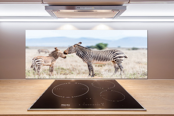 Spatplaat keuken Zebra's in de bergen