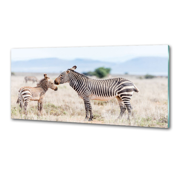 Spatplaat keuken Zebra's in de bergen
