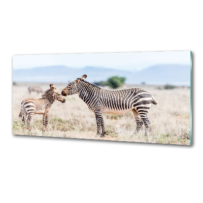 Spatplaat keuken Zebra's in de bergen