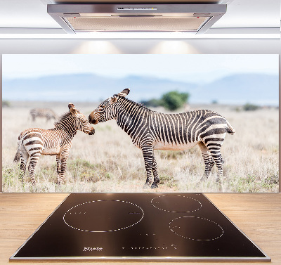 Spatplaat keuken Zebra's in de bergen