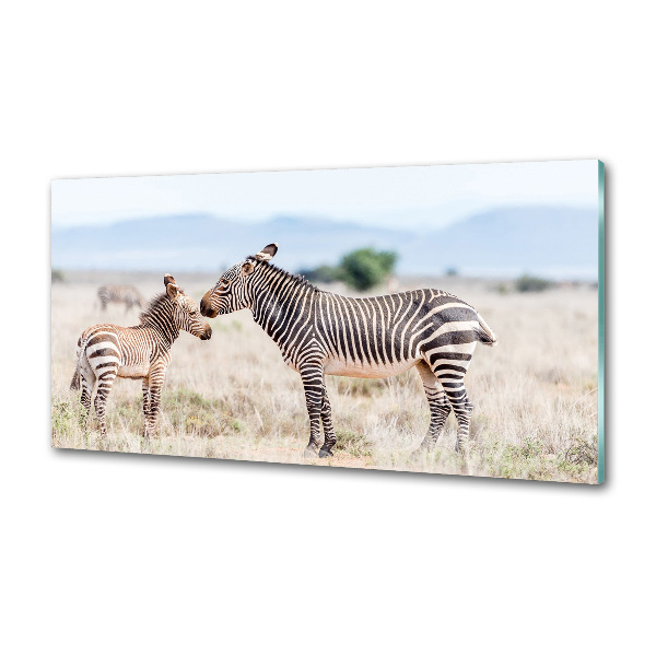 Spatplaat keuken Zebra's in de bergen