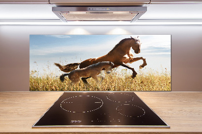 Keuken achterwand Merrie met veulen