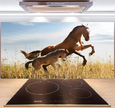 Keuken achterwand Merrie met veulen