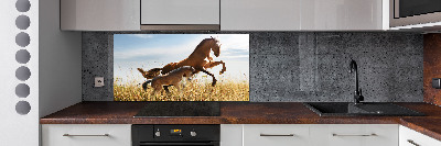 Keuken achterwand Merrie met veulen