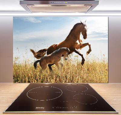 Keuken achterwand Merrie met veulen