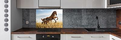 Keuken achterwand Merrie met veulen