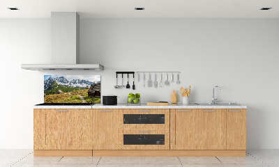 Achterwand keuken Tatragebergte weiden