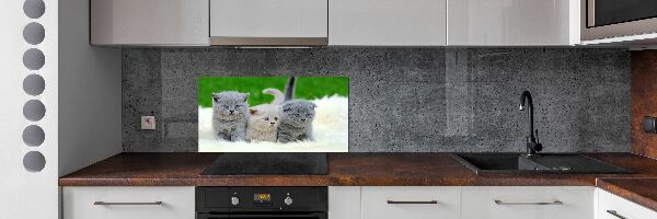 Glazen achterwand keuken Drie katten op een deken