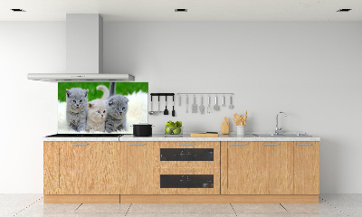 Glazen achterwand keuken Drie katten op een deken