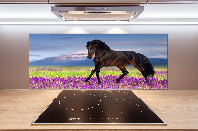 Achterwand keuken Een paard in een lavendelveld