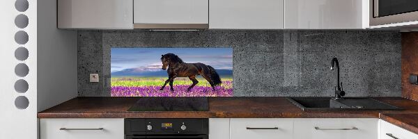 Achterwand keuken Een paard in een lavendelveld