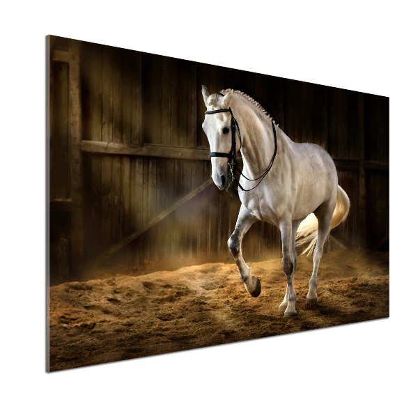 Spatplaat keuken Wit paard in de stal