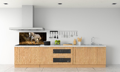 Spatplaat keuken Wit paard in de stal