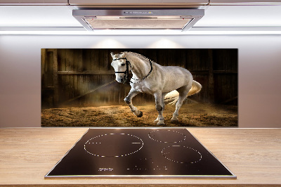 Spatplaat keuken Wit paard in de stal