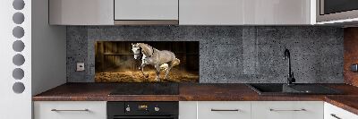Spatplaat keuken Wit paard in de stal